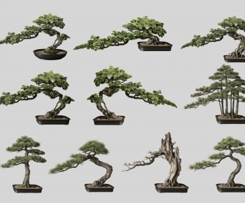 New Chinese Style Bonsai-ID:498455058