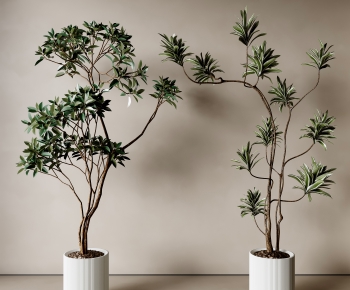 Modern Ground Green Plant Potted Plants-ID:709557065