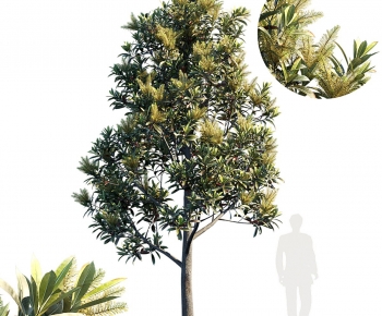 Modern Tree-ID:917454002