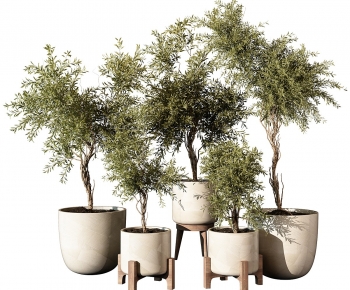 Modern Ground Green Plant Potted Plants-ID:144150312