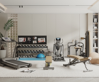 Modern Home Fitness Room-ID:336575981
