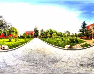 ModernThe Environment