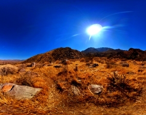 ModernThe Environment