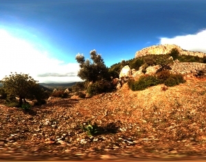 ModernThe Environment