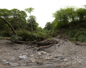ModernThe Environment