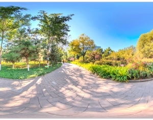 ModernThe Environment