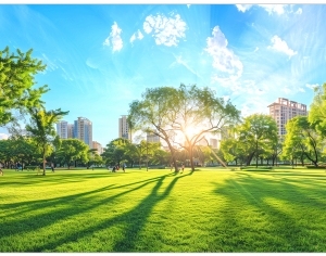 ModernThe Environment