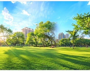 ModernThe Environment