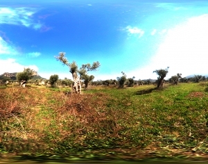 ModernThe Environment