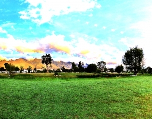 ModernThe Environment
