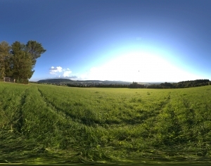 ModernThe Environment