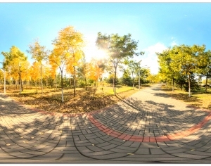 ModernThe Environment