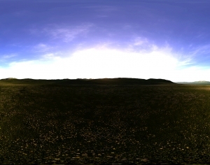 ModernThe Environment