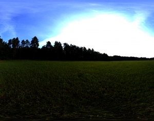 ModernThe Environment
