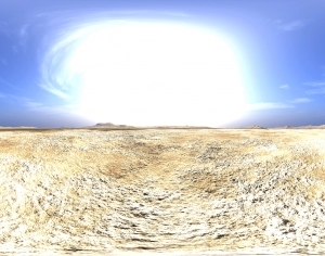 ModernThe Environment