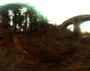 ModernThe Environment
