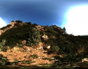 ModernThe Environment