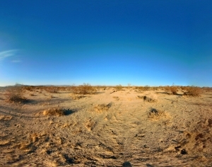 ModernThe Environment