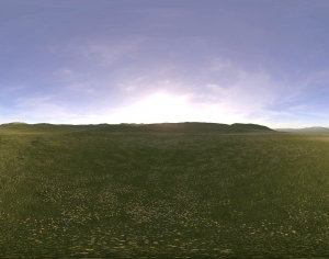 ModernThe Environment