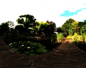 ModernThe Environment
