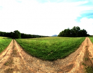ModernThe Environment