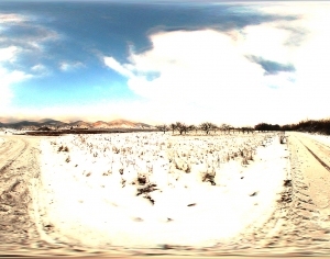 ModernThe Environment