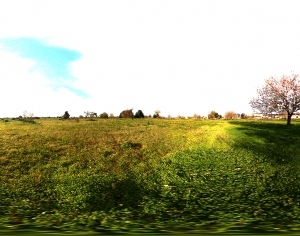 ModernThe Environment