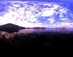 ModernThe Environment