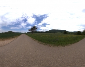 ModernThe Environment