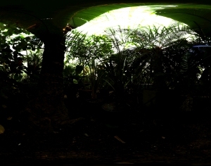 ModernThe Environment
