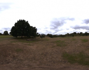 ModernThe Environment
