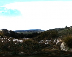 ModernThe Environment