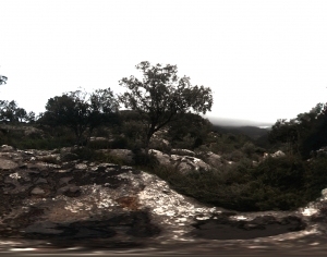 ModernScenery