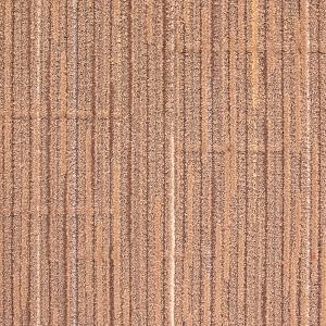 ModernOffice Carpet