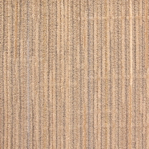 ModernOffice Carpet