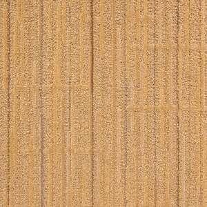 ModernOffice Carpet