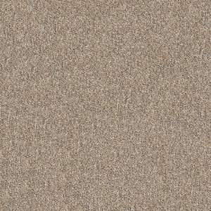 ModernOffice Carpet