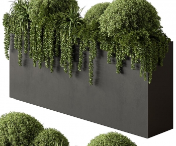 Modern Flower Bed, Flower Bowl, Flower Box-ID:207521924