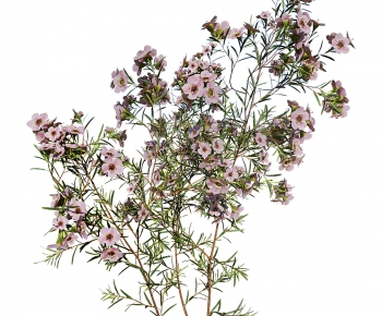 Modern Flowers And Grass-ID:660137896