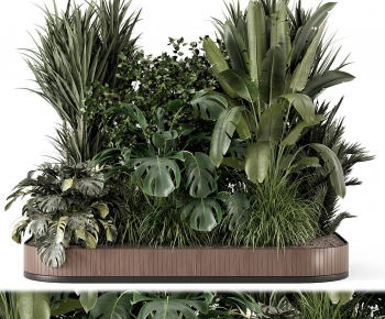 Modern Plant Pile-ID:473520997