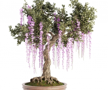 Modern Bonsai-ID:612847093