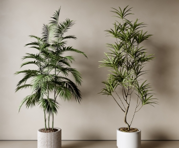 Modern Ground Green Plant Potted Plants-ID:409601935