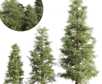 Modern Tree-ID:220060347