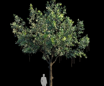 Modern Tree-ID:635121119