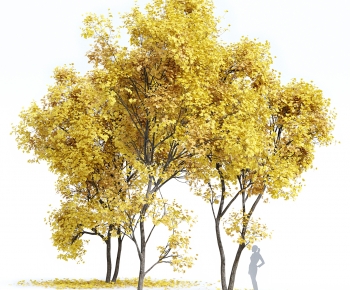 Modern Tree-ID:995096926