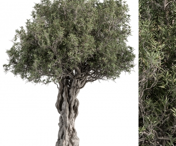 Modern Tree-ID:162142998