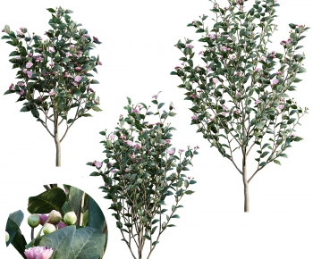 Modern Tree-ID:779850016