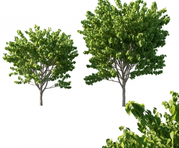 Modern Tree-ID:234436999