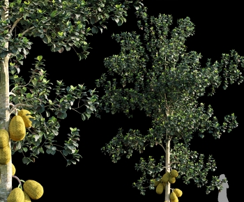 Modern Tree-ID:583478935