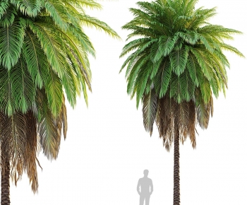 Modern Tree-ID:322782049